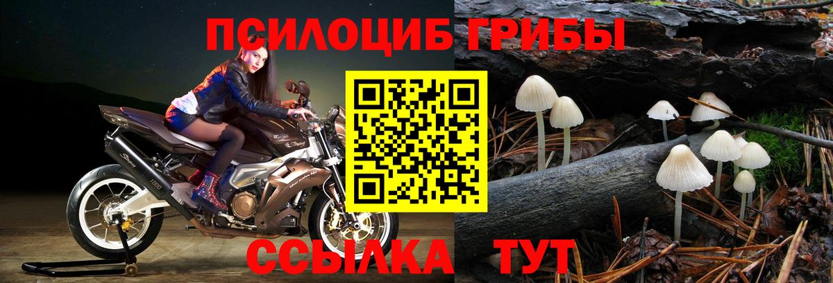Галлюциногенные грибы ЛСД  Псилоцибиновые грибы Magic Shrooms  Химки  Вход с VPN 