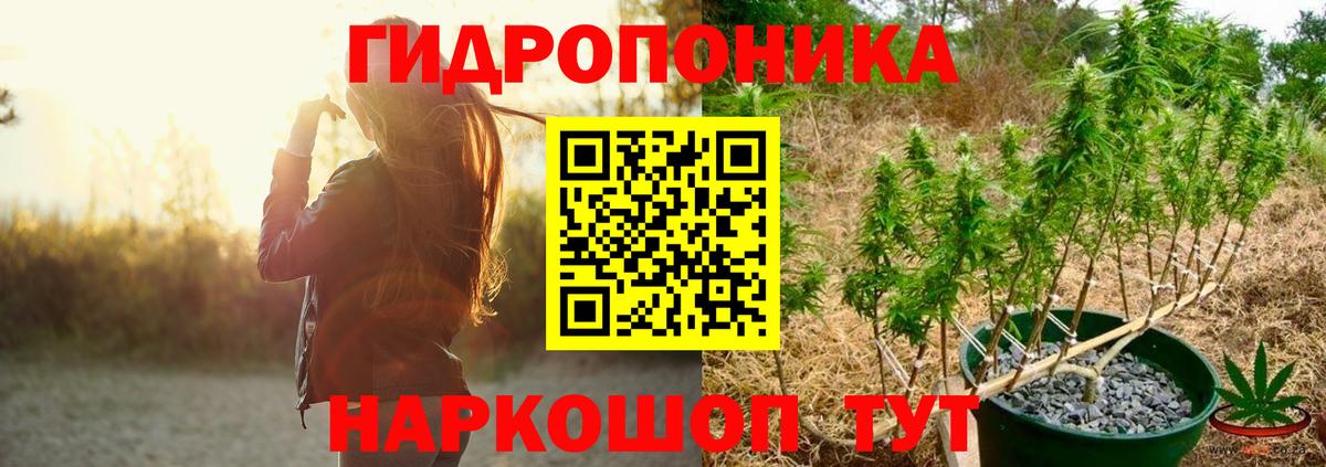 Бошки марихуана индика  Вход с VPN  Конопля тримм  Шишки марихуана гибрид  Химки  Каннабис AK-47 